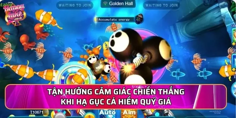Tận hưởng cảm giác chiến thắng khi hạ gục cá hiếm quý giá